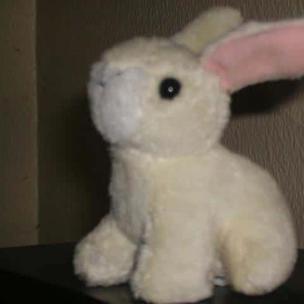 Roasted Bunny (clicky)