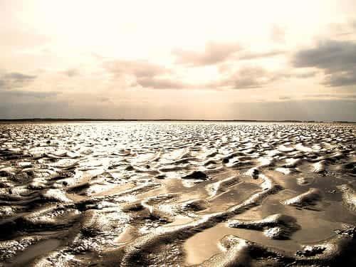 I take some pretty good photos sometimes ;) (clicky)