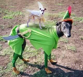 People worry me. (clicky)