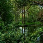 Tiergarten by scott  - 
This file has a maximum resolution of 4500 x 2531 px