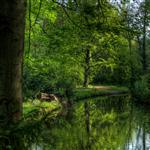 Tiergarten in Spring by scott  - 
This file has a maximum resolution of 4500 x 2531 px